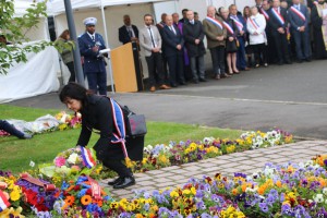 31514877 2027987727450957 5788342251046305792 o